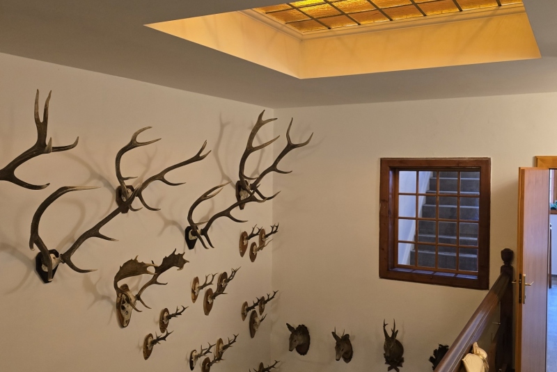 Aktuality / Rekonštrukcia Coburgov dom